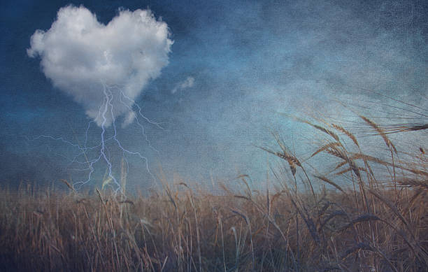 istock Heart cloud over field grunge textured 491377719