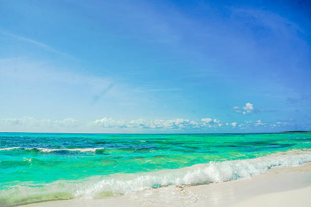 istock Carribean sea shore 491377745
