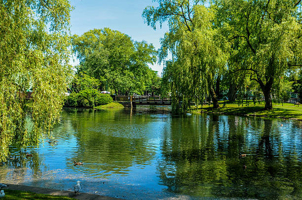 park and bridge stock photo