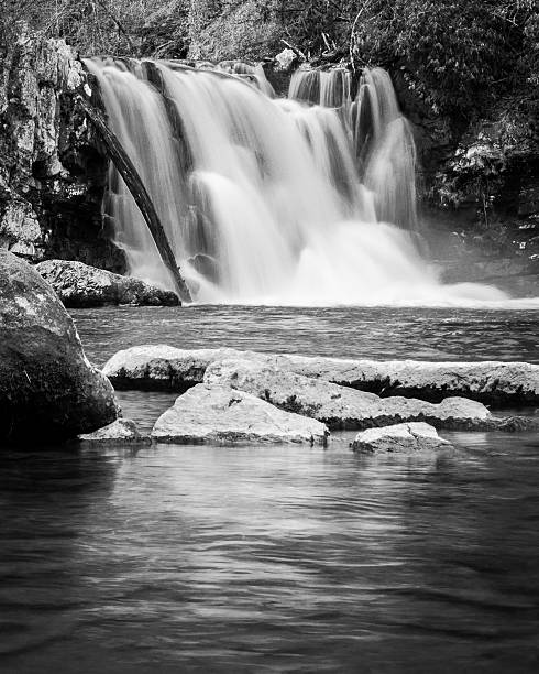 Smoky Mountains Waterfall A flowing waterfall in the Great Smoky Mountains National Park tremont stock pictures, royalty-free photos & images