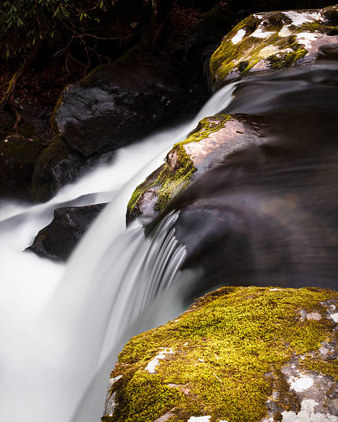 Great Smoky Mountains National Park Waterfall A cascading waterfall in the Great Smoky Mountains National Park tremont stock pictures, royalty-free photos & images