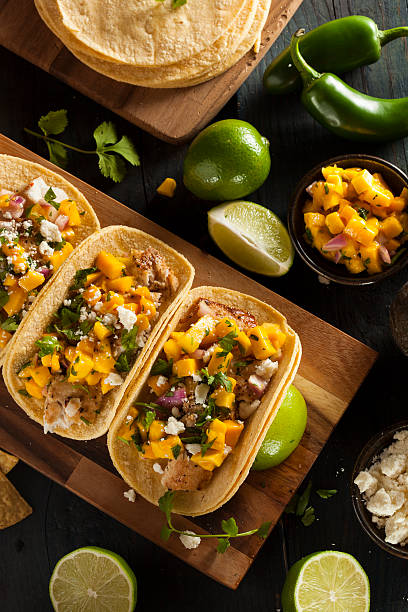 istock Homemade Baja Fish Tacos 491380883