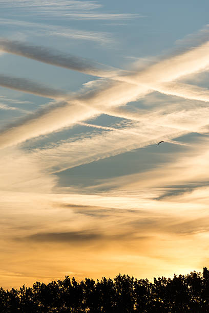istock Beautiful cloudscape with lines and yellow color 491391572