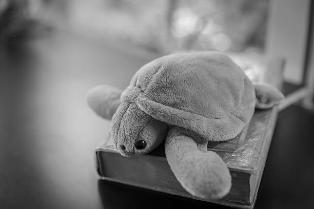 istock Image of turtle doll on a book, 491392234