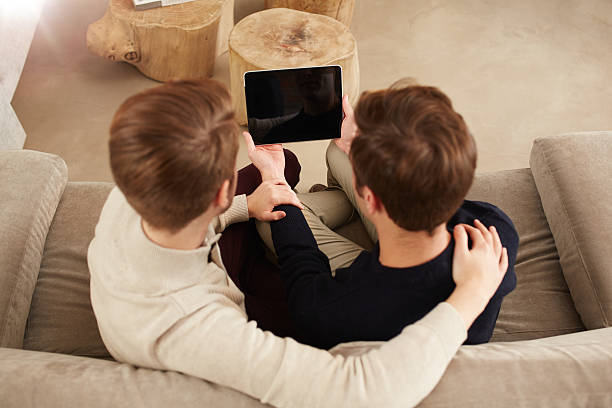 istock Logged into the home network 491394050