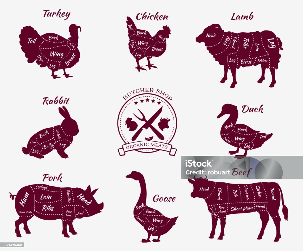Set Schematic Vew of Animals for Butcher Shop Set a schematic view of animals for butcher shop. Cow and pork, cattle and pig, chicken and lamb, beef and rabbit, duck and swine, goose and turkey, meat illustration Old-fashioned stock vector