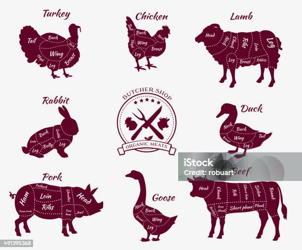 Set Schematic Vew Of Animals For Butcher Shop Stock Illustration - Download Image Now - Old-fashioned, Meat, Butcher