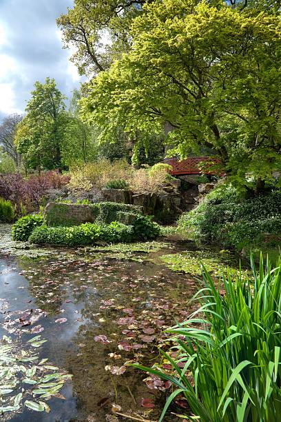 istock Chinese water garden, England 491407208