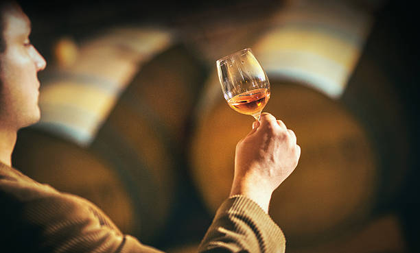 Winetasting. Rear view of mid 30's man holding half full glass of rose wine, swirling it and analyzing it at winetasting event. After visual appearance there's determination of smell and taste. Blurry wine casks in background. man wearing a barrel stock pictures, royalty-free photos & images