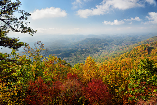 It is early in the October morning in Great Smoky Mountains National Park at the peak of autumn's colors. This is looking southeast into the Smoky mountains from the Foothills Parkway West.