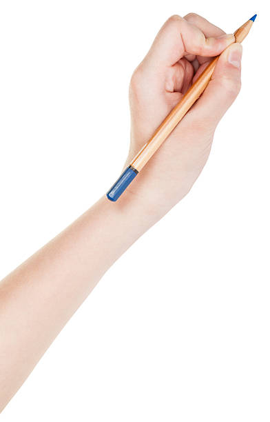 istock hand writes by wood blue pencil isolated 491410222