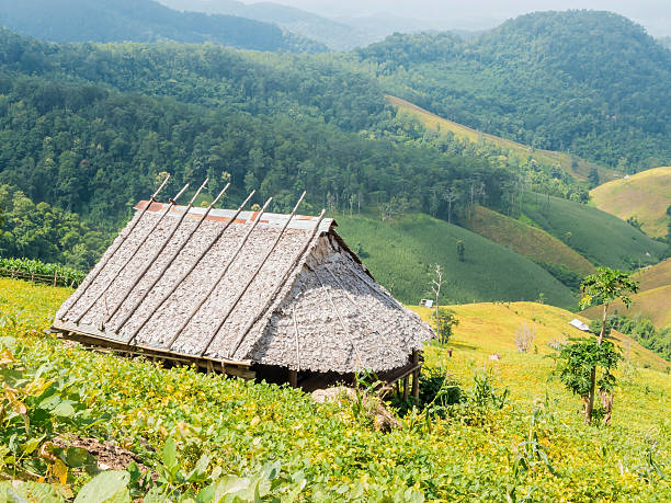 istock The country bamboo hut 491410540