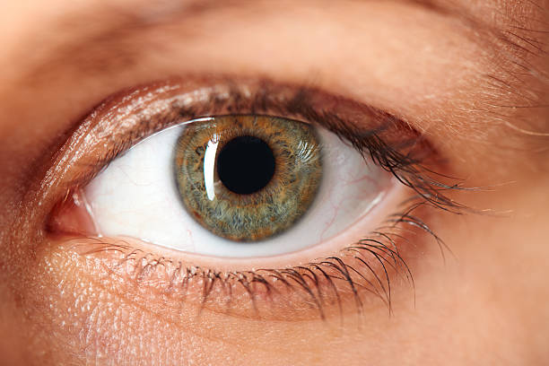 imagem macro do olho humano - close up of iris imagens e fotografias de stock