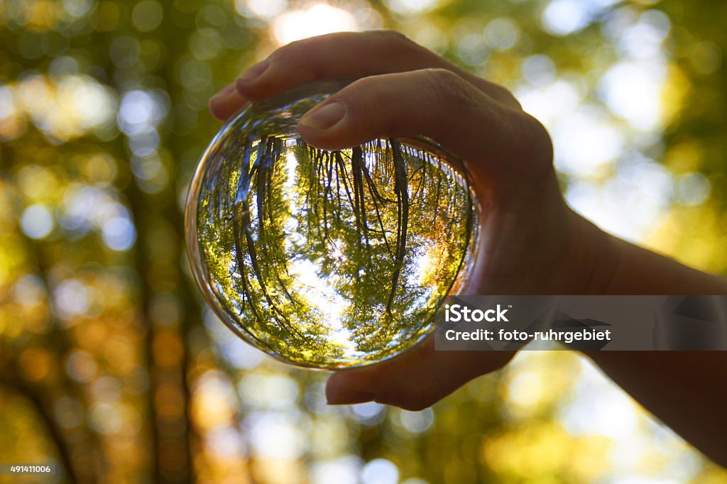 crystal ball A crystal ball is held by one hand in the forest. Fortune Telling Stock Photo