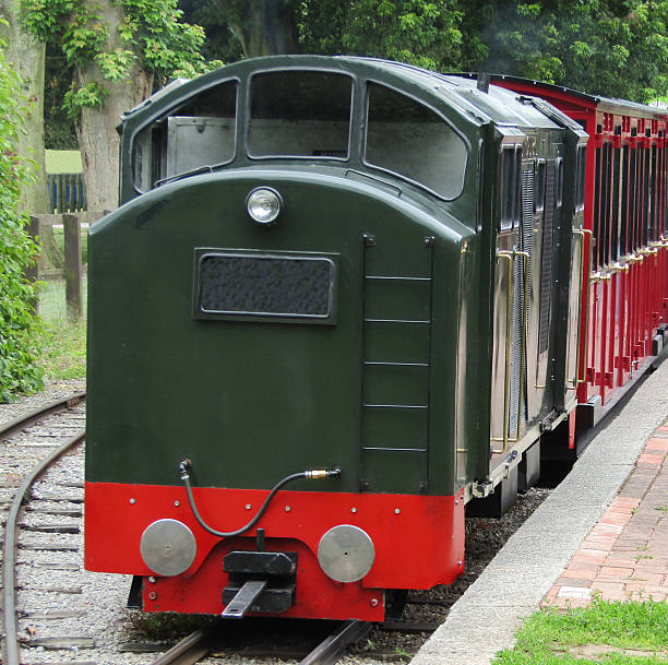istock Narrow Gauge Railway. 491411902