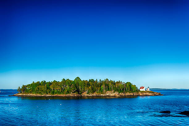 istock Curtis Island Lighthouse In Maine, USA 491425182