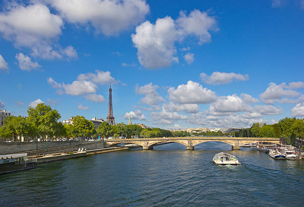 istock Eiffel Tower in Paris, France 491425928