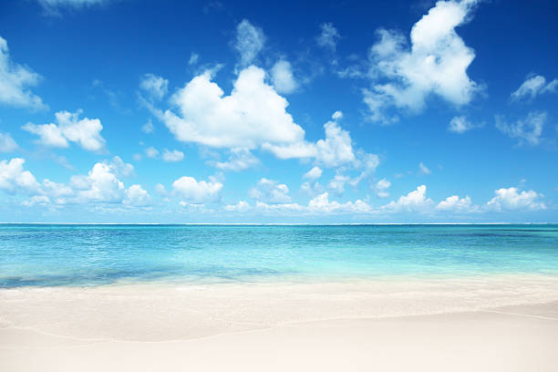 istock sand of beach caribbean sea 491427936