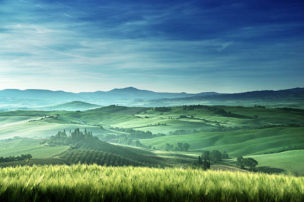 istock Early spring morning in Tuscany, Italy 491428538