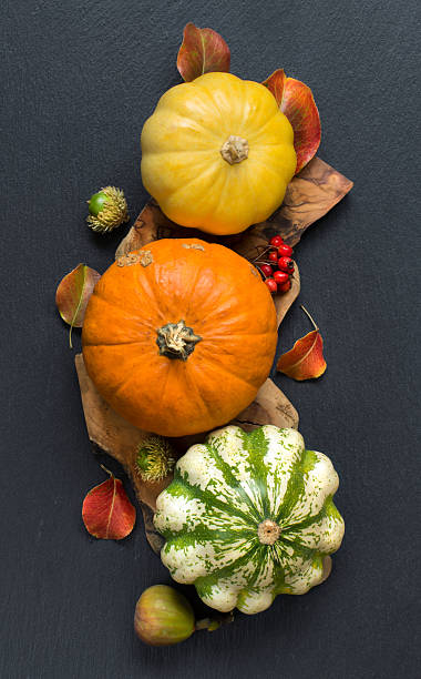 istock Autumn background - Pumpkins, acorns, leaves and berries 491428712