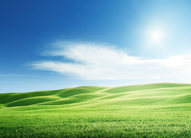 istock perfect field of spring grass 491429060