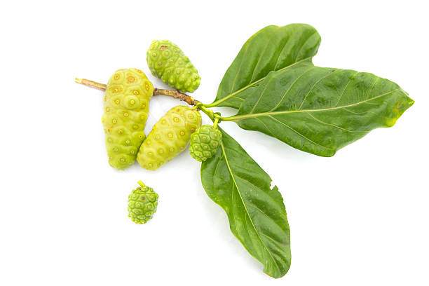 Noni putting green Noni putting green on a white background. noni fruit stock pictures, royalty-free photos & images