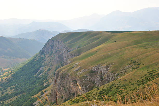 istock Evening in alpine meadows of Durmitor, Montenegro. 491443932
