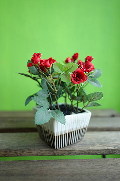istock Artificial red roses on wood table with green background 491448721