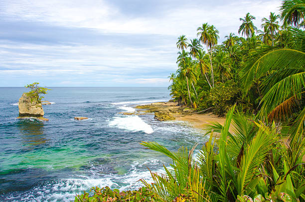 istock Wild beach Manzanillo in Costa Rica 491449117