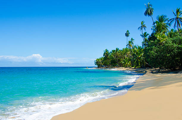 wild beach chiquita and cocles in costa rica - costa rica stok fotoğraflar ve resimler