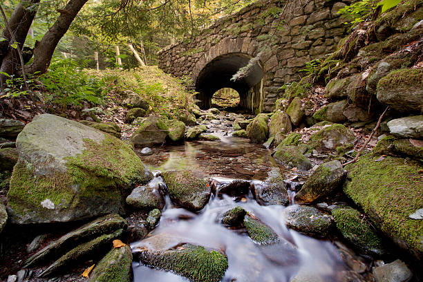 lulu brook - berkshire hills imagens e fotografias de stock