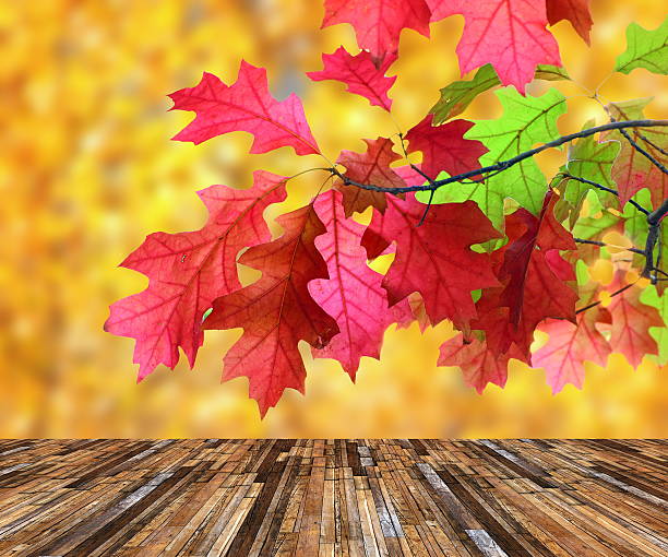 istock beautiful red leaves over veranda 491449951