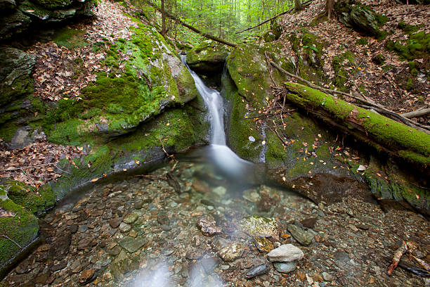 lulu brook - massachusetts the berkshires autumn mountain zdjęcia i obrazy z banku zdjęć