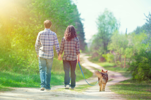 Young couple walking with their dog