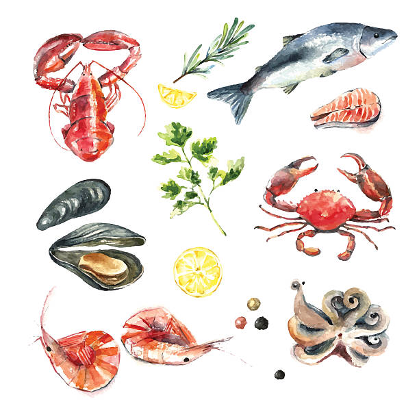 Set of seafood watercolor. Watercolor set of seafood.Hand draw isolated illustration on white background:lobster,crab,shrimp,octopus,mussel,salmon with herbs,lemon and peppers.Fresh organic food. crab seafood stock illustrations