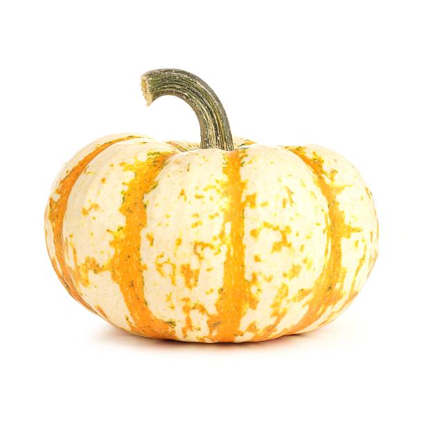 White and orange striped pumpkin over white