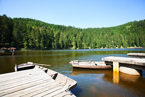 istock Summer panorama of lake Mummelsee 491465276