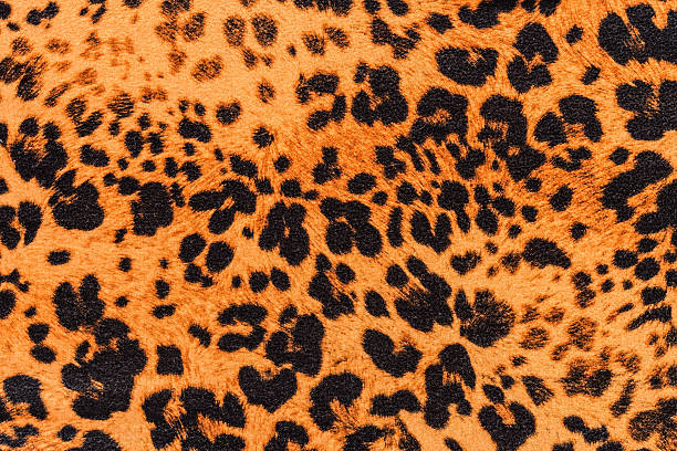 istock texture of print fabric striped leopard 491466040