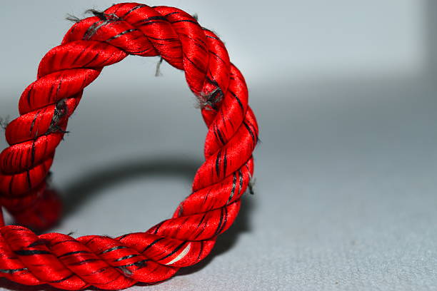 istock Reddish Rope White Background Photograph 491466642