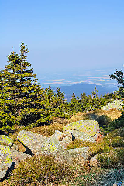 istock Amazing view from the Brocken 491469992