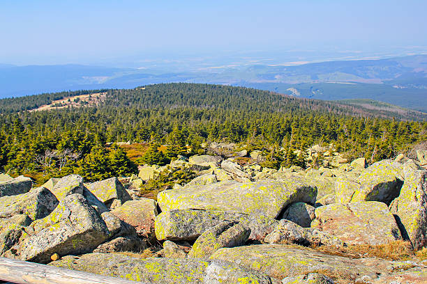 istock Beautiful view from the Brocken 491470994