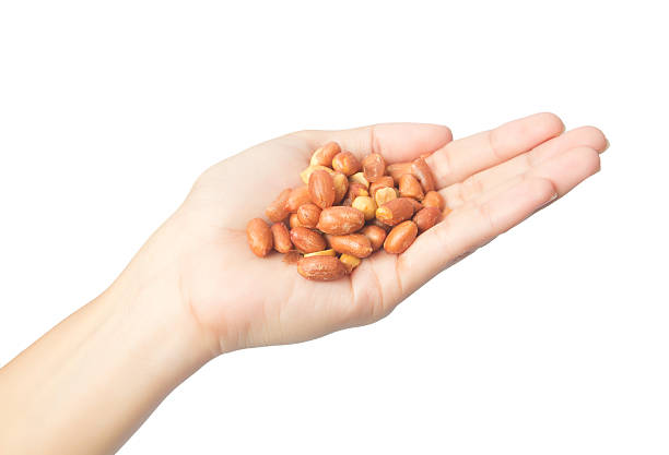 istock salted red skin peanuts in hand 491471216