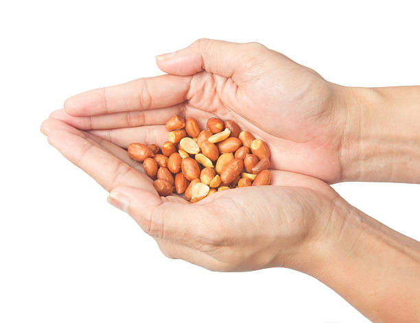 istock salted red skin peanuts in hands 491471384