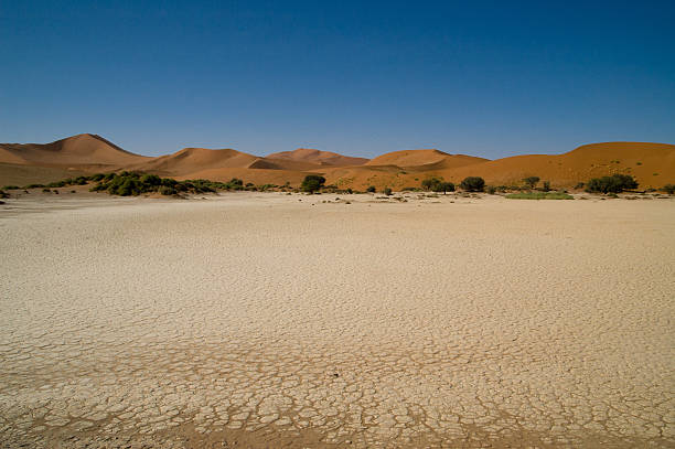 kuvapankkikuvat ja rojaltivapaat kuvat aiheesta dyynit namibin autiomaassa - sand mountain