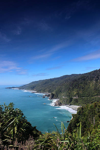 istock New Zealand Coast 491488004