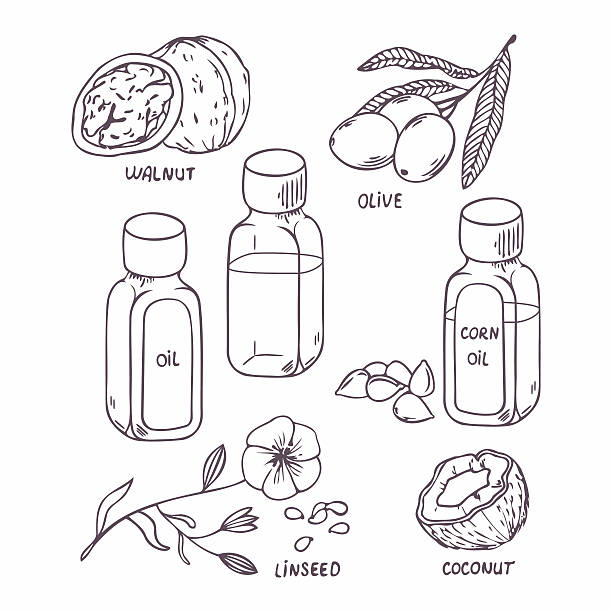 illustrazioni stock, clip art, cartoni animati e icone di tendenza di sana olio situato nel contorno stile. noce di cocco, noci, olive, mais - olive tree oil industry cooking oil