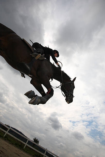 istock Horse jumping silhuette 491489620