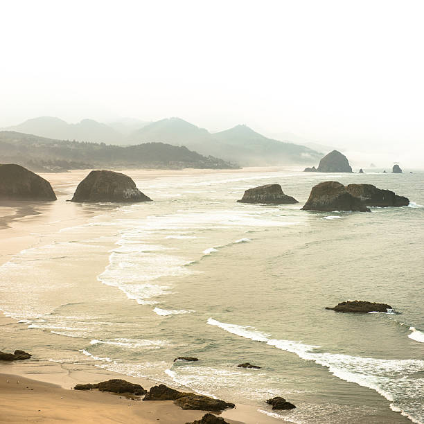 parco statale ecola paesaggio della costa dell'oregon - cape sebastian foto e immagini stock