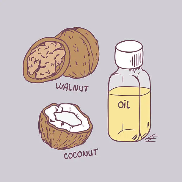 Vector illustration of Healing coconut and walnut oils set in vector