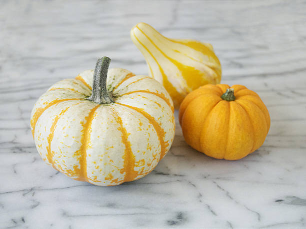Autumn backgrounds:  gourds and dry leaves border shot on white. The composition is at the left of an horizontal frame leaving useful copy space for text and/or logo at the right. High resolution 42Mp studio digital capture taken with SONY A7rII and Zeiss Batis 40mm F2.0 CF lens